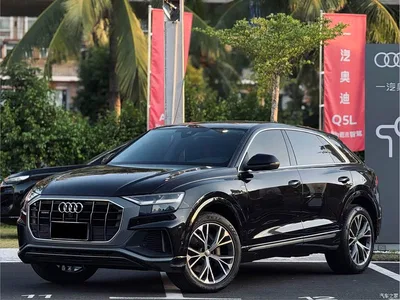 2019 Audi Q8 55 TFSI Luxury Dynamic, фото 1, лот 11095198