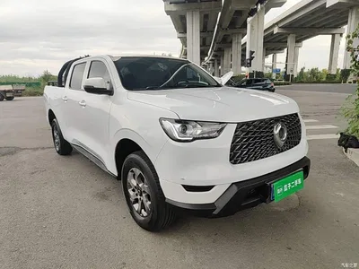 2021 Great Wall Pao 2.0T Commercial Edition Automatic Diesel 2WD Elite Long Box GW4D20M, фото 4, лот 10408810