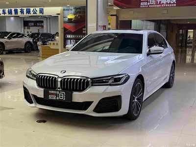2022 BMW 5 Series 530Li Leading M Sport Package, фото 1, лот 11548088