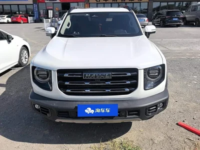 2021 Haval Big Dog 1.5T DCT 2WD Border Collie - Wangcai Edition, фото 3, лот 10351398