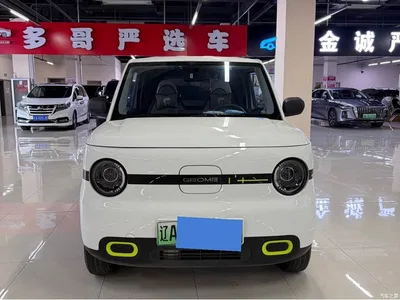 2025 Geely Galaxy Panda mini 210km Vitality Bear, фото 2, лот 10430123