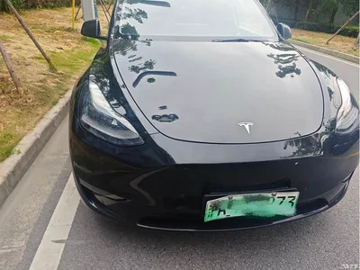 2023 Tesla Model Y Rear-Wheel Drive Edition, фото 2, лот 10449718