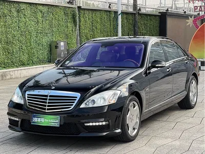2008 Mercedes-Benz S-Class Model S 600 L, фото 1, лот 10261608