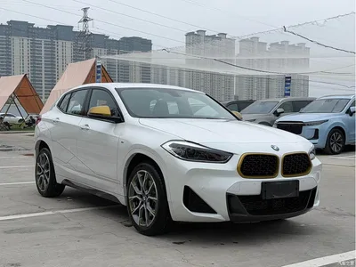 2023 BMW X2 sDrive 25i Radiance Edition, фото 3, лот 11181596