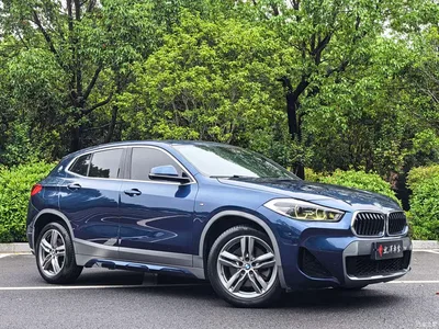 2020 BMW X2 sDrive25i Leading M Off-Road Package, фото 3, лот 11248638