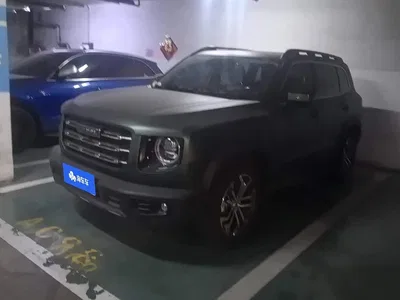2021 Haval Big Dog 1.5T DCT 2WD Border Collie Edition, фото 1, лот 10361696