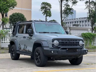 2024 Tank 300 Model 2.0T Challenger, фото 3, лот 10344189