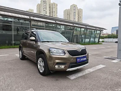 2017 Škoda Yeti TSI280 DSG Brothers Edition, фото 3, лот 11132666