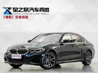 2020 BMW 3 Series 320Li M Sport Package, фото 1, лот 10899557