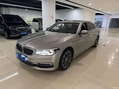 2018 BMW 5 Series Facelift 530Li Exclusive Luxury Package, фото 1, лот 10696573