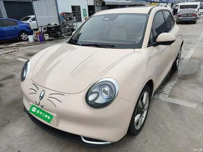 2023 Ora Good Cat 401km Standard Range Honor Edition (LFP), фото 1, лот 11081489