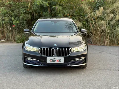 2017 BMW 7 Series 730Li Leading Edition, фото 2, лот 10422553