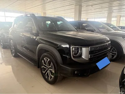 2024 Haval Big Dog 1.5T DCT Border Collie Edition, фото 2, лот 10361652