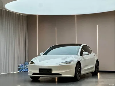 2023 Tesla Model 3 Rear-Wheel Drive, фото 1, лот 10351877
