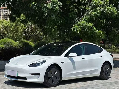 2021 Tesla Model 3 Standard Range Rear-Wheel Drive Upgrade, фото 1, лот 10366812