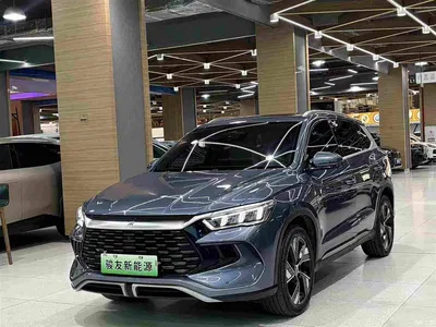 2023 BYD Song Pro New Energy Champion Edition DM-i 110KM Excellence, фото 1, лот 10273998