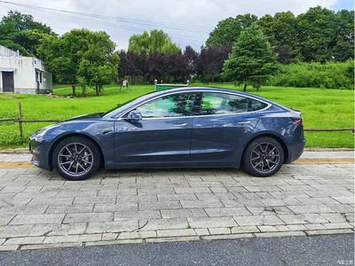 2019 Tesla Model 3 (Import) Performance High-Efficiency All-Wheel Drive Version, фото 3, лот 10369187