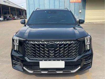 2024 GAC Trumpchi Trumpchi GS8 Navigator Series 2.0TGDI 4WD Luxury Smart Connect Edition, фото 2, лот 10418290