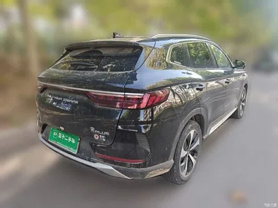 2021 BYD Song PLUS PHEV DM-i 110KM Flagship PLUS, фото 4, лот 11522355