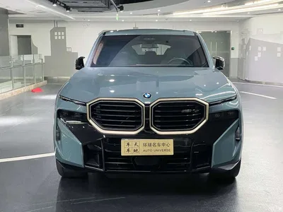 2023 BMW XM 50e, фото 2, лот 10477219