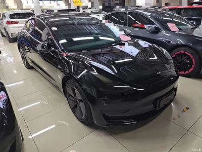 2021 Tesla Model 3 Standard Range Rear-Wheel Drive Upgrade 3D6, фото 4, лот 10369666