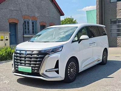 2024 Denza D9 DM-i 980 AWD Flagship, фото 1, лот 10354972