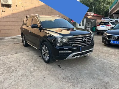 2017 GAC Trumpchi Trumpchi GS8 320T 2WD Luxury Smart Connect (7-seater), фото 3, лот 10419602