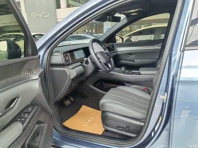 2025 BYD Song Pro New Energy 2nd Generation Smart Driving Edition DM-i 115KM Excellence Type, фото 3, лот 10274297