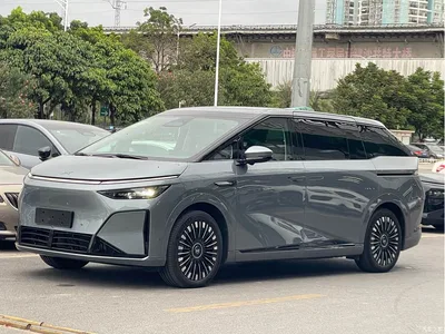 2025 XPeng X9 Extended Range Edition, фото 2, лот 11518294