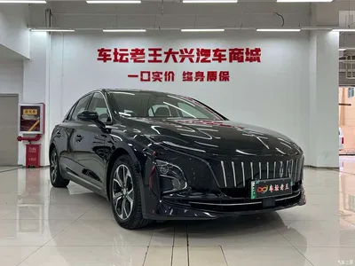 2023 Hongqi E-QM5 Facelift Basic Travel Edition, фото 3, лот 10287440