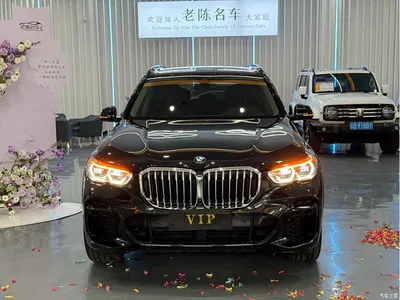 2022 BMW X5 xDrive 30Li Premium M Sport Package, фото 2, лот 10462641