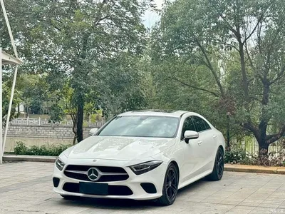 2021 Mercedes-Benz CLS 260, фото 1, лот 10251225