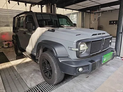 2021 Tank 300 Off-road Version 2.0T Conqueror, фото 4, лот 10345509