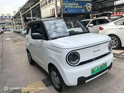 2025 Geely Galaxy Panda Model Year 210km Panda Kart, фото 3, лот 11569660