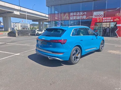 2021 Audi e-tron 50 quattro Exclusive Selection, фото 4, лот 10473704