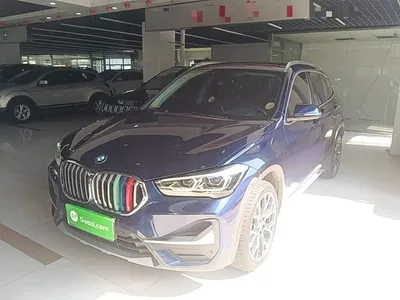 2020 BMW X1 xDrive25Li Premium Edition, фото 2, лот 11579346