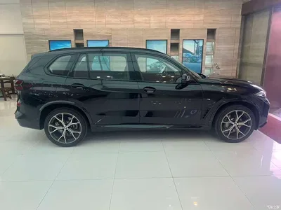 2025 BMW X5 Model xDrive 30Li Exclusive M Sport Blackout Package, фото 3, лот 10662234