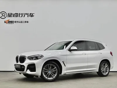 2020 BMW X3 xDrive25i M Sport Package, фото 1, лот 10685110