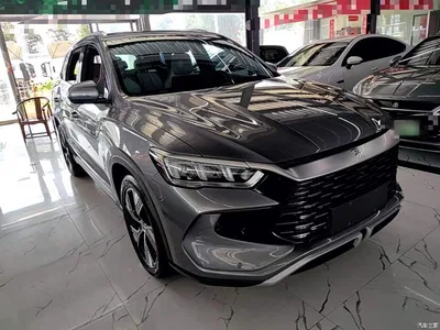 2023 BYD Song Pro New Energy Champion Edition DM-i 110KM Excellence, фото 4, лот 10272730