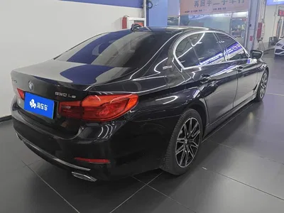 2019 BMW 5 Series New Energy 530Le Luxury Package, фото 3, лот 10615690