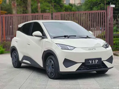 2025 BYD Seagull Smart Drive Edition 305km Vitality Version, фото 3, лот 10250394