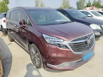 2022 Buick GL8 ES Landmark 653T Flagship, фото 4, лот 10435296
