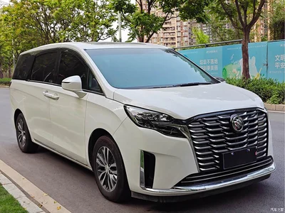 2023 Buick GL8 ES Landmaster Comfort, фото 2, лот 10250295