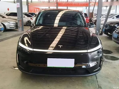 2025 Tesla Model Y Rear-Wheel Drive, фото 3, лот 10765855