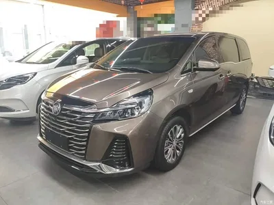 2023 Buick GL8 Facelift Land Business Class Luxury, фото 2, лот 10261962