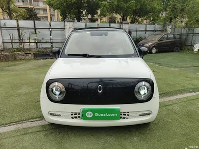 2021 Ora Black Cat 405km Long Range Model, фото 3, лот 10330560