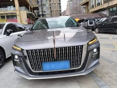2024 Hongqi H5 1.5T DCT Smart Connect Flag Rhythm Edition, фото 3, лот 10289231