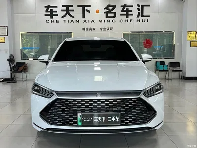 2024 BYD Qin PLUS Glory Edition DM-i 55KM Leading, фото 2, лот 10363348