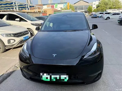 2021 Tesla Model Y Standard Range Rear-Wheel Drive, фото 1, лот 10625366