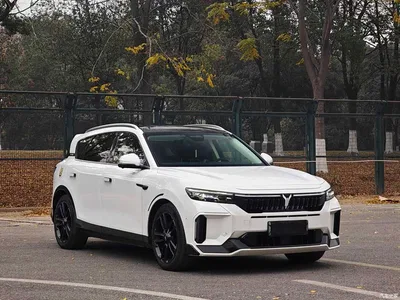 2024 Voyah Auto VOYAH FREE Ultra Long Range Intelligent Driving Edition, фото 3, лот 10311200
